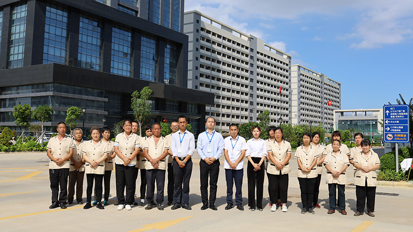 大理天龍八部影視城新裝景觀型箱式變電站安裝工程